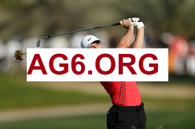 鹈鹕解说：东契奇最让人沮丧，裁判吹了也抱怨、不吹也抱怨